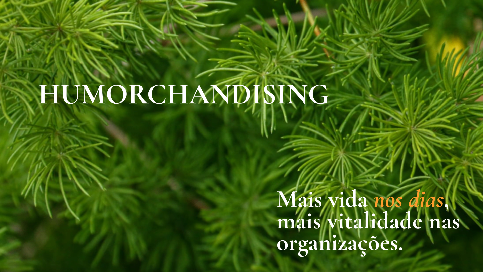 Humorchandising — folhagem verde vibrante